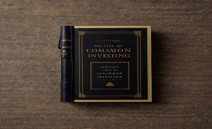 the little book of common sense investing